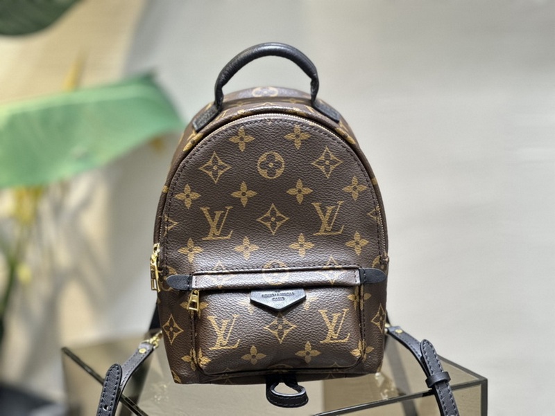 LV Handbags 301